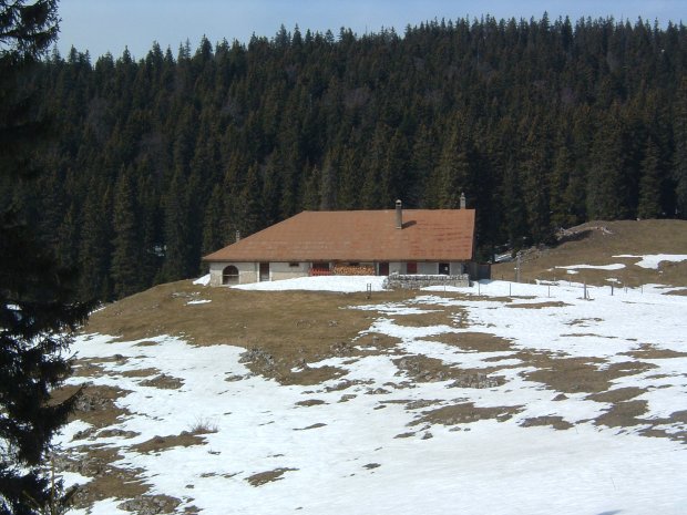 jura-foirausaz3.jpg (23668 bytes)