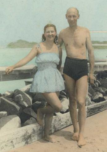 mothbeach.jpg (22801 bytes)