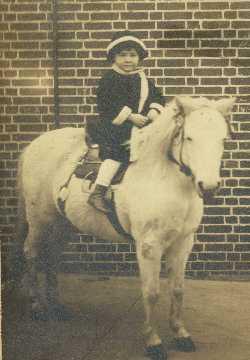 mothpony.jpg (17848 bytes)