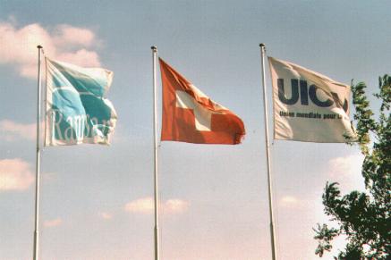 flags3orgs1.jpg (18435 bytes)