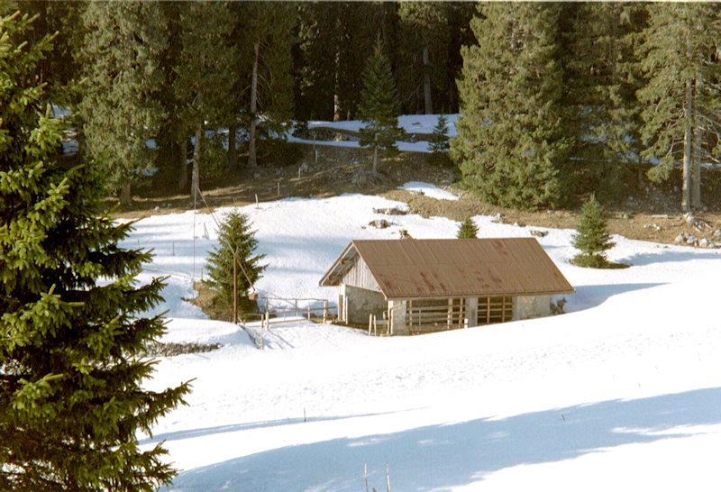 jura-eparcillon2.jpg (43055 bytes)