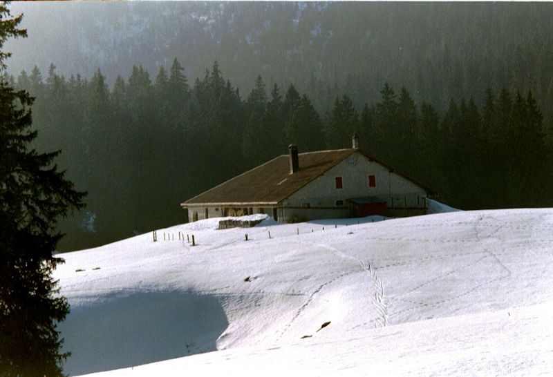 jura-foirausaz1.jpg (20708 bytes)
