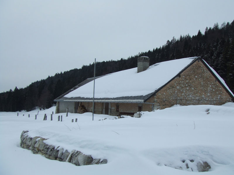 jura-frasses3.jpg (27419 bytes)