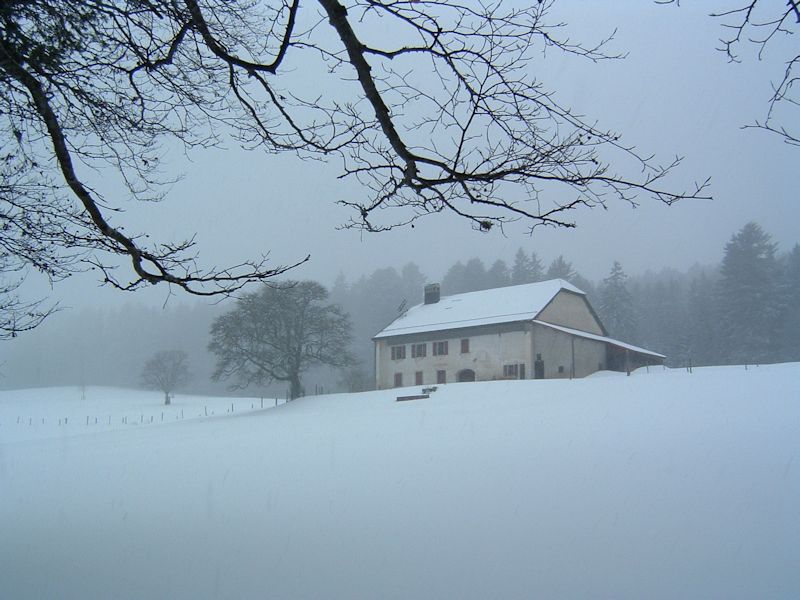 jura-goncerue2.jpg (37338 bytes)