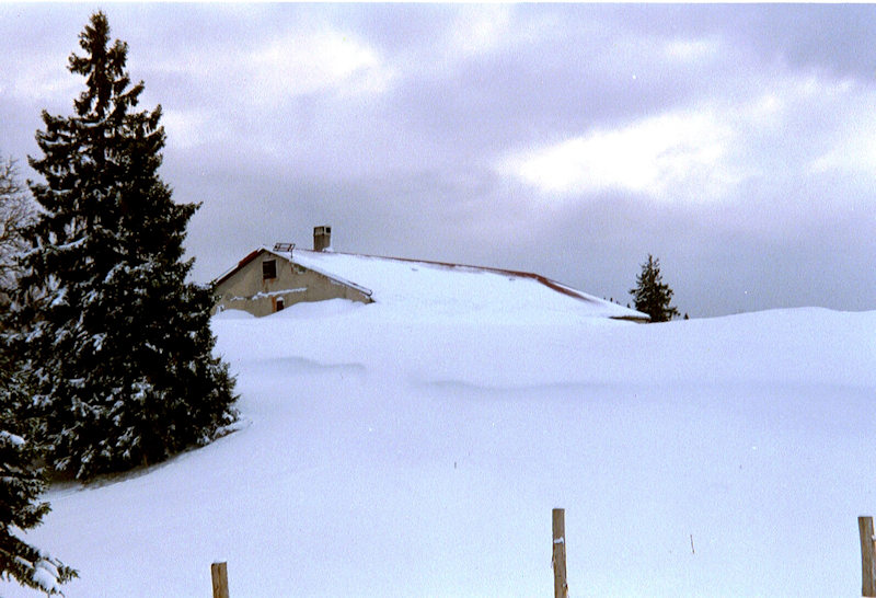jura-perroude-vaud1.jpg (19563 bytes)